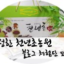 풍성한 천년초농원 이미지