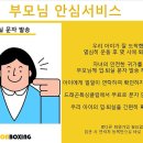 드래곤복싱클럽 백마점 이미지