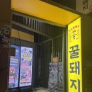 꿀돼지 | 홍대고기집 꿀돼지집 후기 (홍대입구역맛집 / 홍대삼겹살맛집)