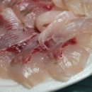 남강배달횟집