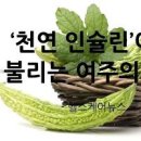 여주 여주 효능 여주즙 여주차 여주환 여주 먹는 법 이미지