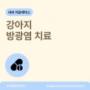 송정동물메디컬센터