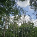 장사랑내과영상의학과의원 이미지