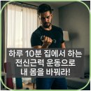 전신근력운동 티스토리