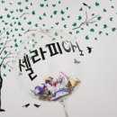 셀라피아노교습소 이미지