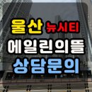 울산 뉴시티 에일린의뜰 2차 덕하 아파트 계약 조건 이미지