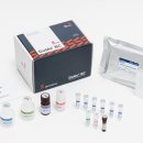 이앤에스케어 이미지