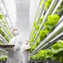 연암대학교 이미지