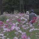 ‘다큐 &amp; 뮤직 페스티벌’에서 수원시민 감동 이미지