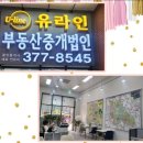 주식회사유라인부동산중개법인 이미지