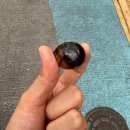 젤리젤라젤리킹20 네이버블로그