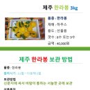 (제주옥림) 제주 한라봉 3Kg (8수 또는 9수 / 주문자 과수 선택 배송) 제주 감귤체험 농장 제주옥림 이미지