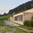 카페보리 | ☕️ 영광 카페 보리 방문 후기 🌾