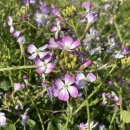 가파리 마을회관 이미지