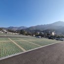 문경새재) 1~3관문+매봉산 이미지