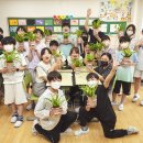 양목초교 이미지