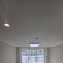 우성동백 이미지