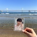 컨텐츠 개 낌