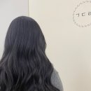 공드린헤어 - 목포시 | 공드린헤어