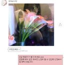 부케바이민 이미지