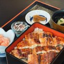 장어와미꾸라지 이미지