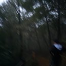 세종동_전월산 무궁화 테마공원 이미지