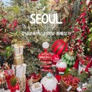 만덕2동 제일상가 시장 | 난생처음 강남 고속버스터미널 꽃 시장 화훼상가 크리스마스트리 구매 내돈내산 솔직후기