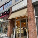 빵나무 이야기 이미지