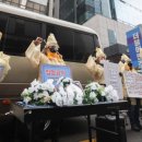 민주당구장 이미지