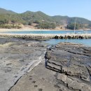 울산도시공사 사옥 대왕암홀 | 진주 사천 고성 통영 부산 여행후기 (약2주간)