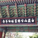 [최고의 주식, 최적의 타이밍] _ 윌리엄 J. 오닐