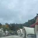 숲속개울가 이미지