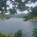 늘 평화로운 약국 이미지