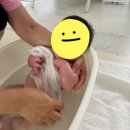 대전 서구 산후도우미 베스트맘 후기