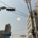 송탄부대찌개단계본점 | 송탄 부대찌개 김네집 평일 웨이팅 본점 주차 내돈내산 후기