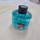 마장초교 | [찾아오는 체험학습]이천 마장초등학교 병설유치원 바다 디퓨저만들기 체험후기