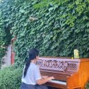 재동농장 | 귤의정원 바령에서 친환경 풋귤따기체험 다녀온 후기