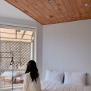 라 팡시옹 | 경주 라팡시옹 엘르 숙소 후기_💜