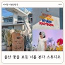 울산 스튜디오 꽃을 보듯 너를 본다 사진관 컨셉 촬영 후기