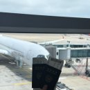 364 | 인천-상하이 푸동공항| 아시아나 OZ365 / OZ364 후기 및 기내식