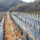 유계리 농장 이미지