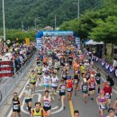 청송비디오 이미지