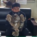 합천군골프연습장 이미지