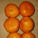 신화이용소 이미지