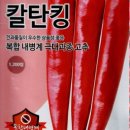 한국농약씨앗