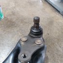 엔도픽스 이미지