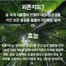 더 스타 | 경기도 남양주 별내자이더스타 오피스텔 입주청소 후기!!