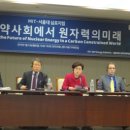 MIT의 고언 "한국, 미세먼지 싫다면 원자력 투자하라" 이미지
