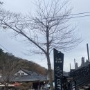 카페씨앤디마운틴 이미지