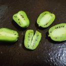 토종 다래 효능 이미지